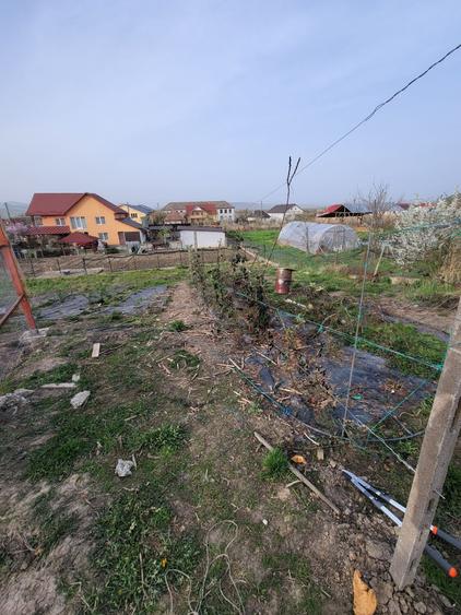 Casă cu 2 camere în Sânmărghita