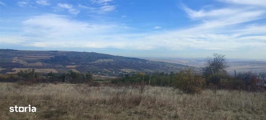 Oportunitate investitionala -Teren de vanzare, Dealul Fanatelor, Cluj - 3