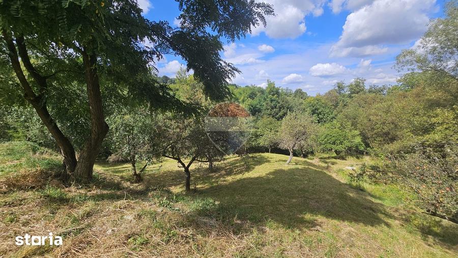 Casa individuala | 4 camere | Teren 4840 mp | Sohodol | Bran - 2