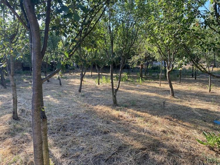 Casă cu 2 camere în Sânpetru German
