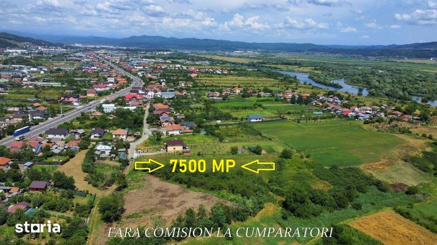 Teren de 7500 mp, în Râureni