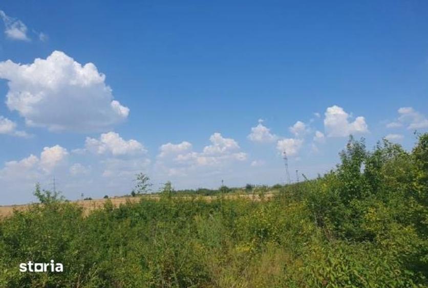 Teren de 4000 mp, în Șagului