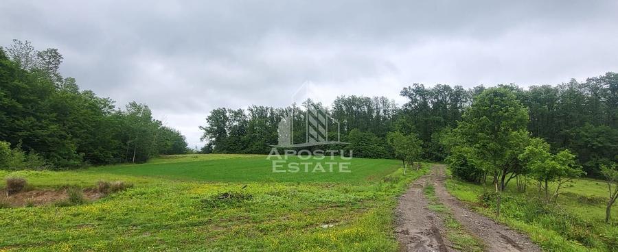 Teren agricol extravilan de 8600 mp, în Cuied