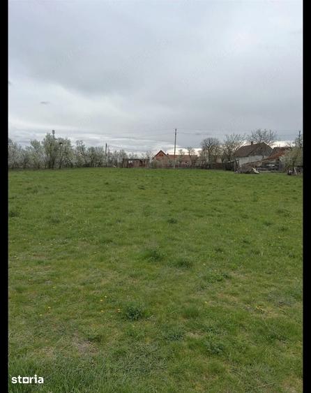 Teren de 4138 mp, în Belinț