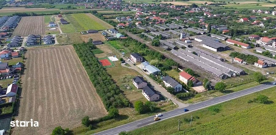De vanzare 2 Parcele Teren intravilan 501 mp Martinesti/Strada Noua - 2