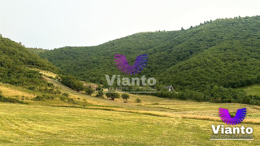 Teren agricol extravilan de 3408 mp, în Gura Râului