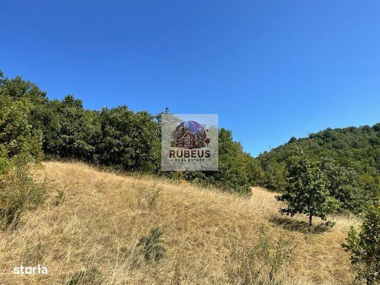 Teren de 2580 mp, în Dubova