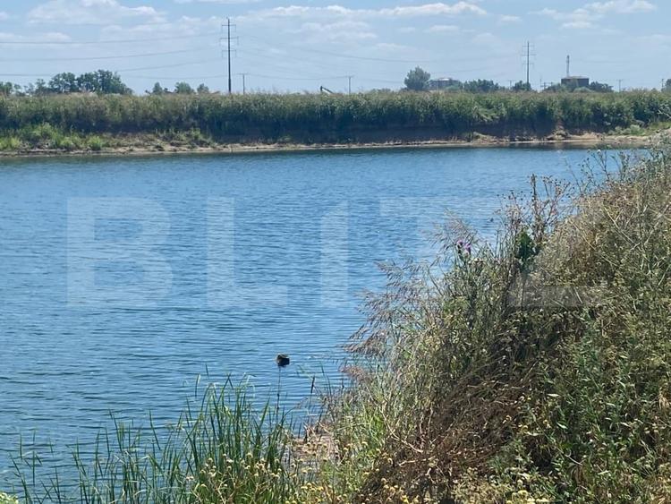Teren agricol intravilan de 47600 mp, în Pitaru