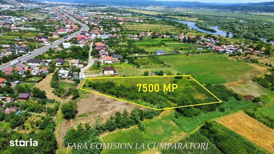 Teren de 7500 mp, în Râureni