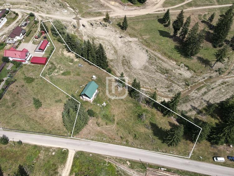 Teren Construcții intravilan de 4742 mp, în Voroneț