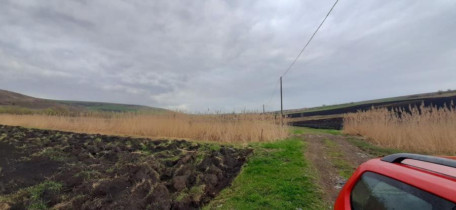 Teren agricol extravilan de 119500 mp, în Iris