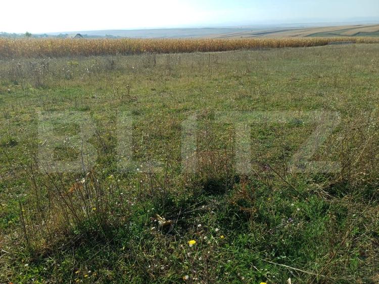 Teren Construcții extravilan de 800 mp, în Moara