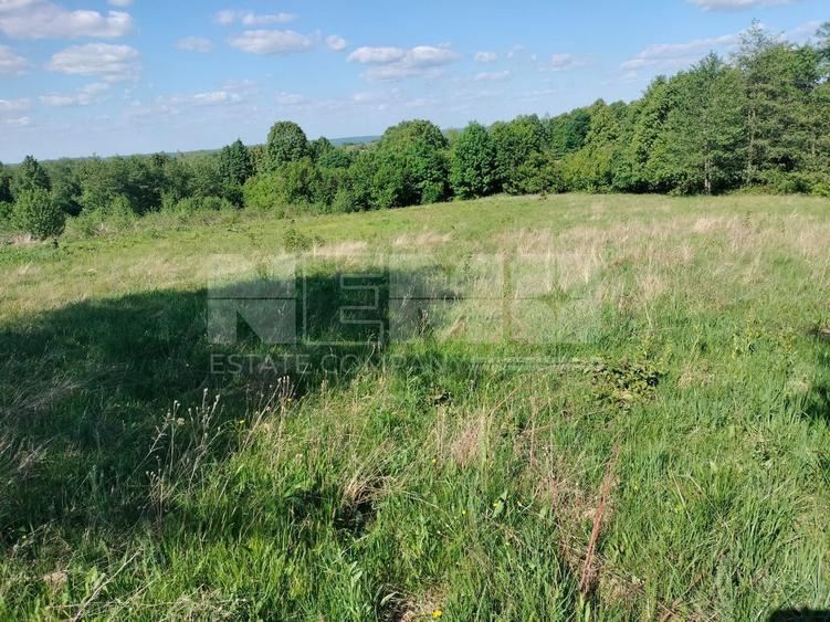 Teren Construcții extravilan de 5000 mp, în Vicovu de Jos