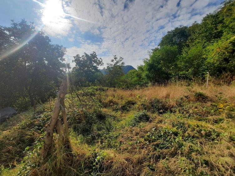 Teren Construcții intravilan de 1543 mp, în Nord