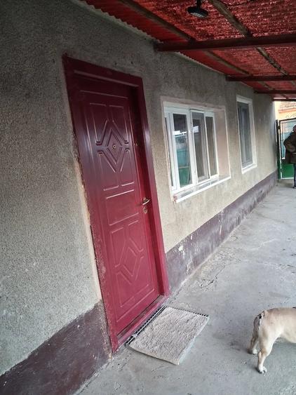 Casă cu Teren 2500 Mp în Otelec