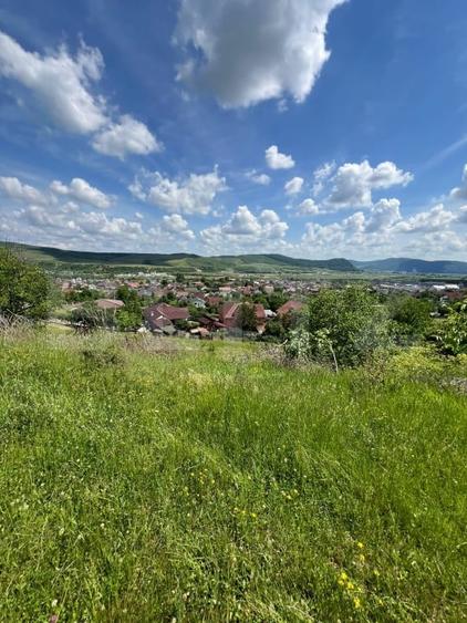 Teren agricol extravilan de 3000 mp, în Viișoara