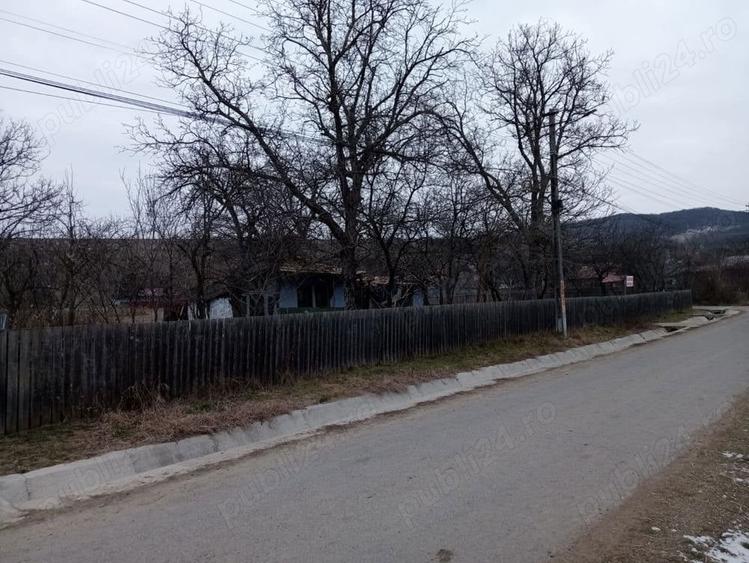Teren de 4800 mp, în Ivănești