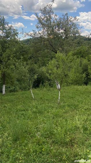 Teren de 1359 mp, în Nistorești
