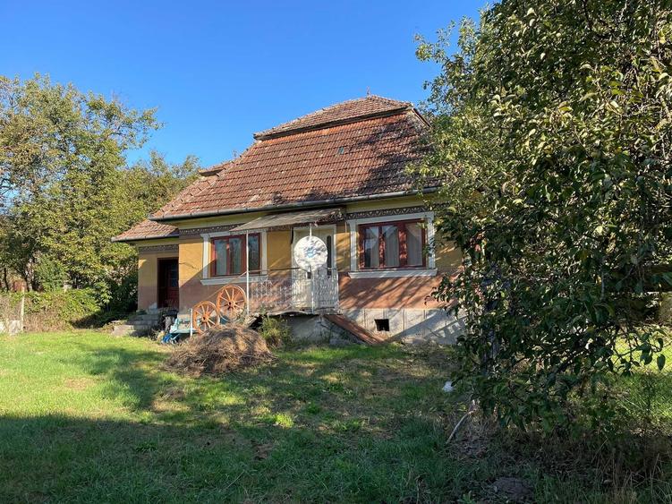 Casă cu 2 camere în Măhăceni
