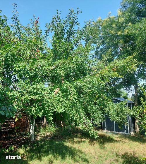 Casă cu 4 camere cu Teren 515 Mp în Corbu
