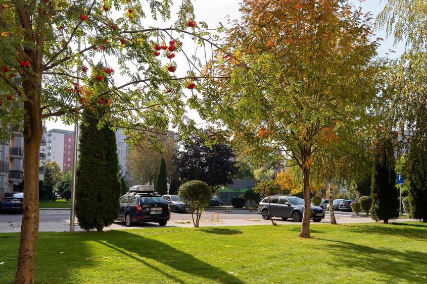Garsonieră decomandată în Avantgarden