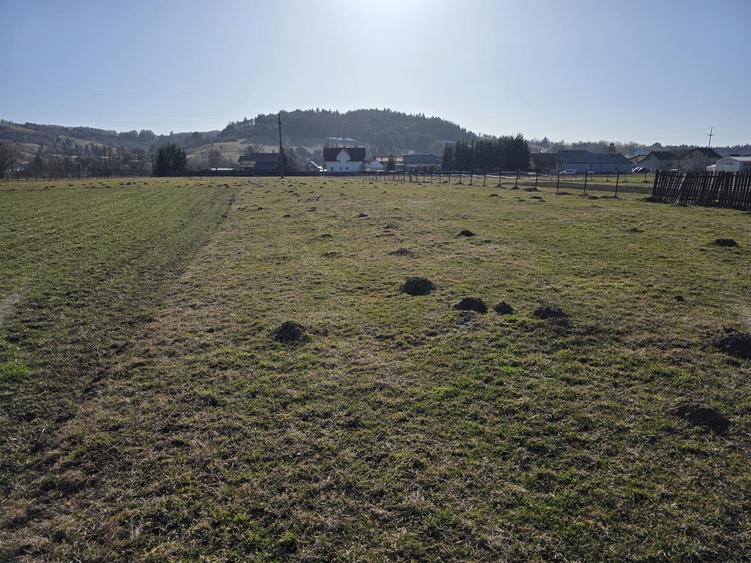 Teren intravilan de 4660 mp, în Întorsura Buzăului