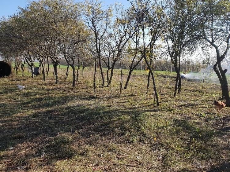 Casă cu Teren 32 Mp în Central