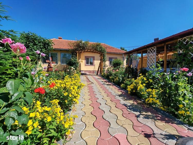 Casă cu 3 camere decomandat cu Teren 1540 Mp în Central
