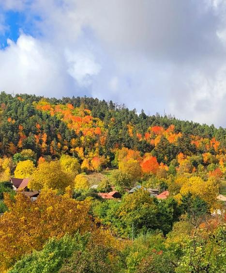 Casă cu 2 camere în Gârcina