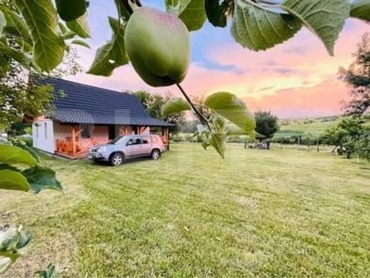 Casă individuală cu 2 camere cu Teren 2499 Mp în Blaj