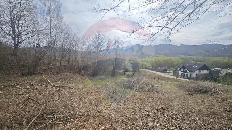 Teren de 2000 mp, în Cheile Râșnoavei