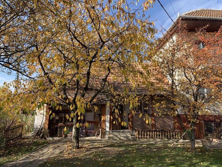 Casă individuală cu 6 camere cu Teren 1080 Mp în Central
