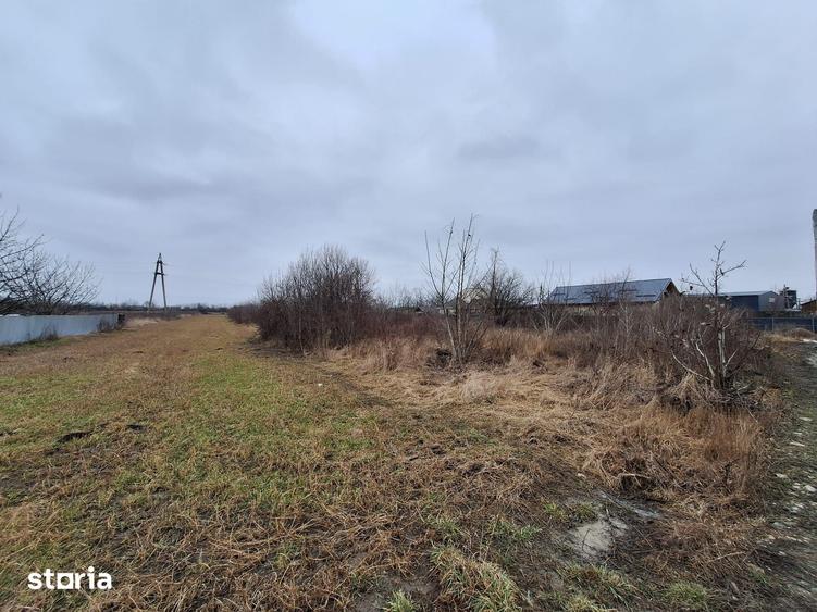 Teren de 300 mp, în Mărgineni