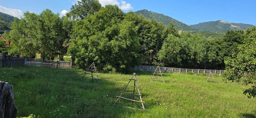Teren de 8000 mp, în Căpățânenii Pământeni