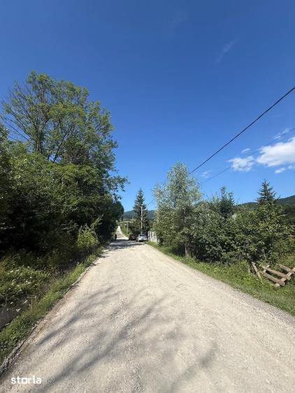 Teren intravilan 1662 mp pozitie superba-Calea Brasovului Valea Neagra - 18