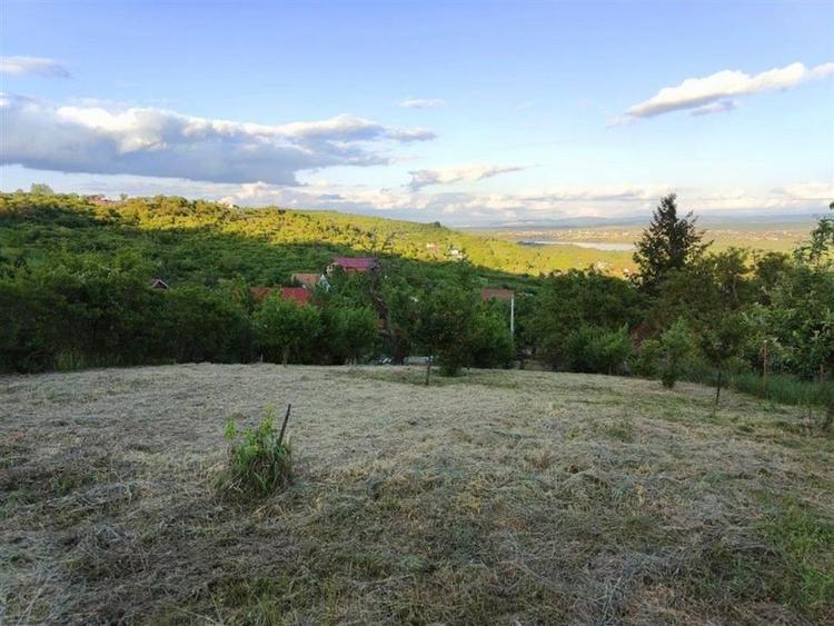 Teren Construcții intravilan de 1765 mp, în Podgoria
