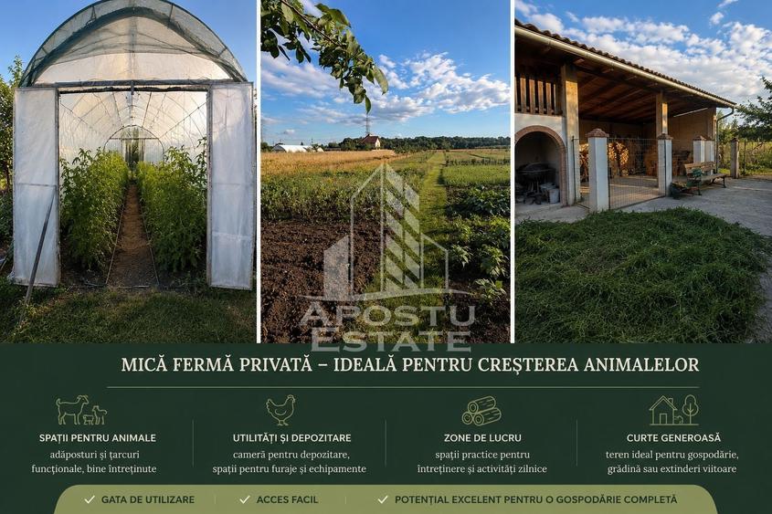 Casă cu 7 camere cu Piscina în Giarmata-Vii