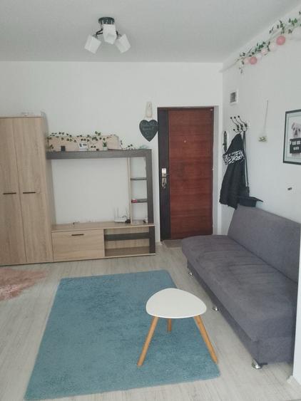 Apartament cu 2 camere în Turnișor