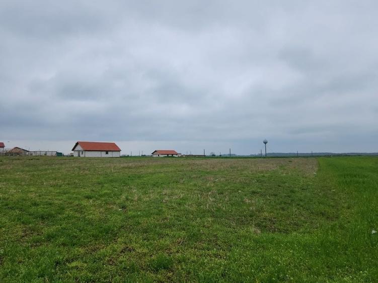 Casă cu 3 camere în Rogova