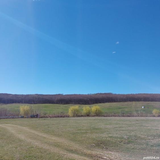 Teren de 2600 mp, în Reuseni