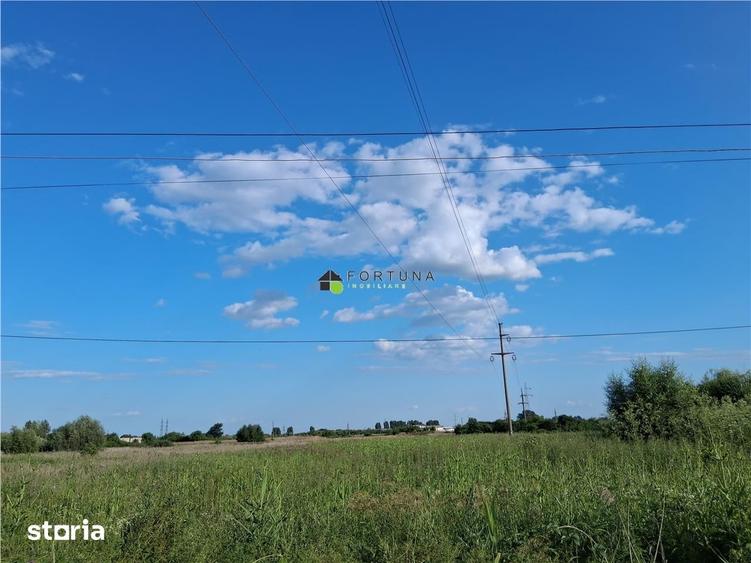 Teren de 2500 mp, în Boldești