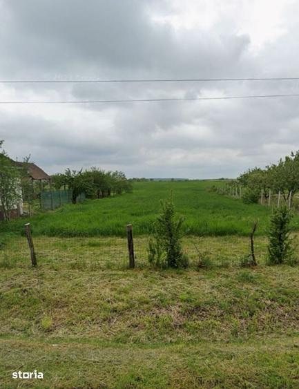 Teren de 5774 mp, în Saca