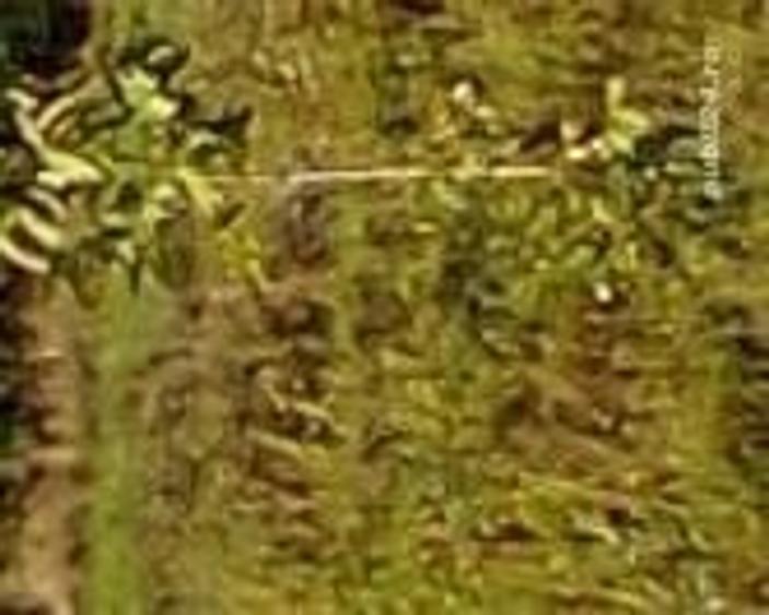 teren intravilan - 2