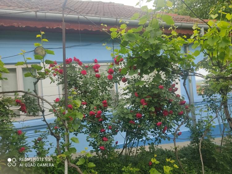 Casă cu 3 camere în Țuglui