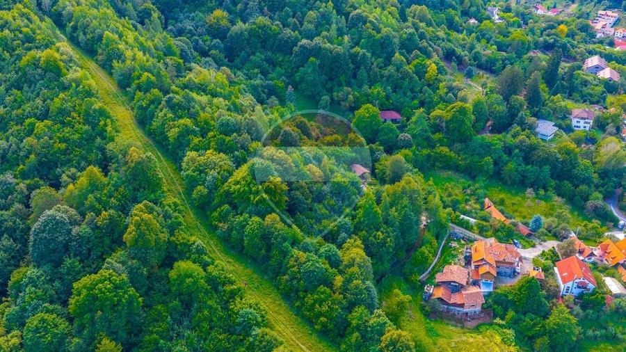 Teren Construcții intravilan de 3094 mp, în Schei