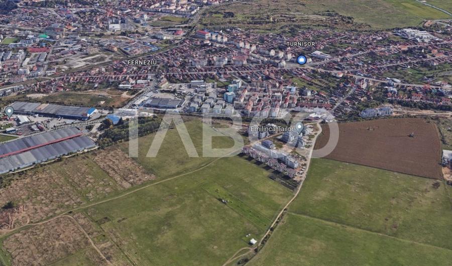 Teren agricol intravilan de 8000 mp, în Turnișor