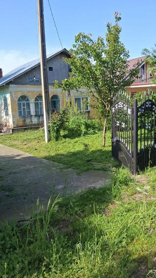 Teren de 70000 mp, în Dioști