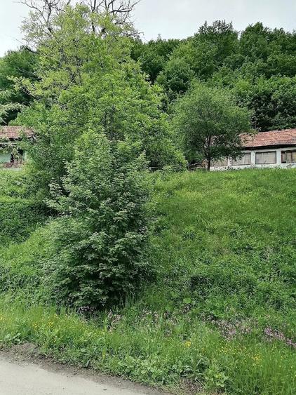 Casă cu Teren 50 Mp în Bulzeștii de Jos