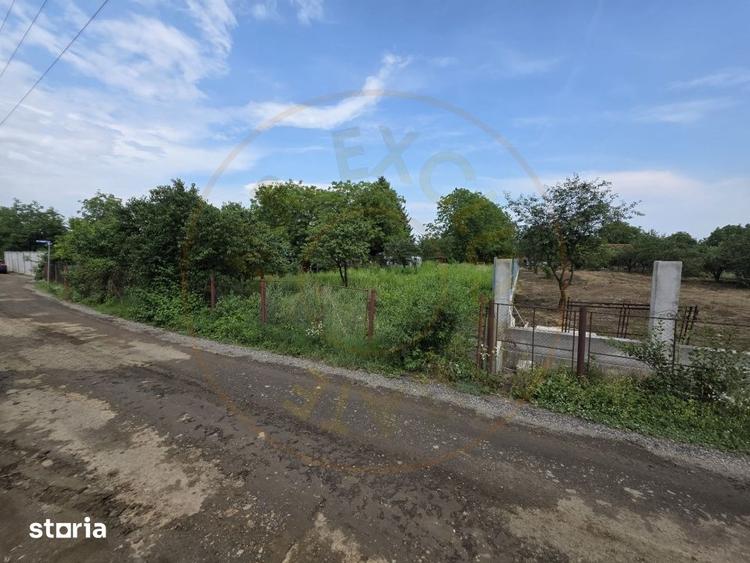 Teren de 1600 mp, în Bercu Roșu