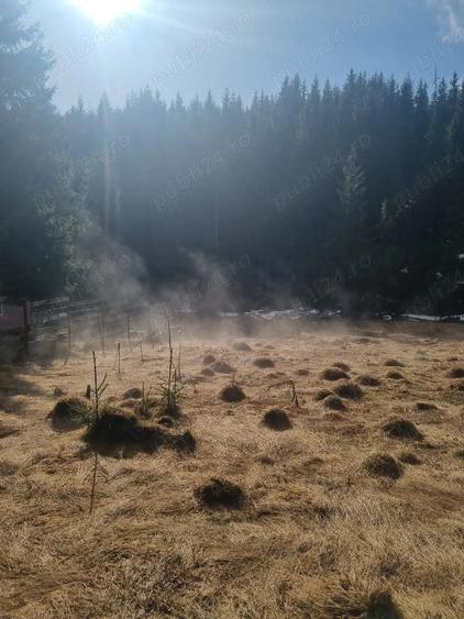 Teren de 40000 mp, în Poiana Horea